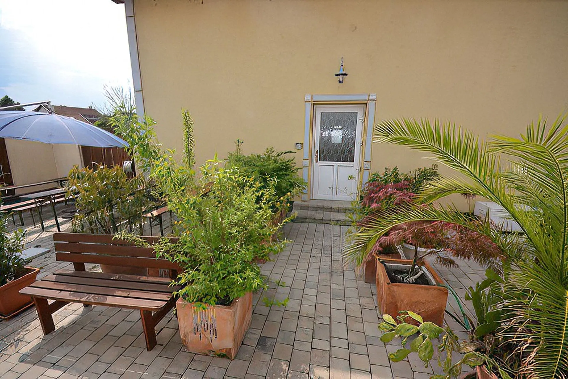 Gepflasterte Terrasse am Eingang mit Palmen und Pflanzen